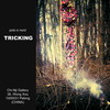 TRICK LA MOSTRA CHE NON C'E' .