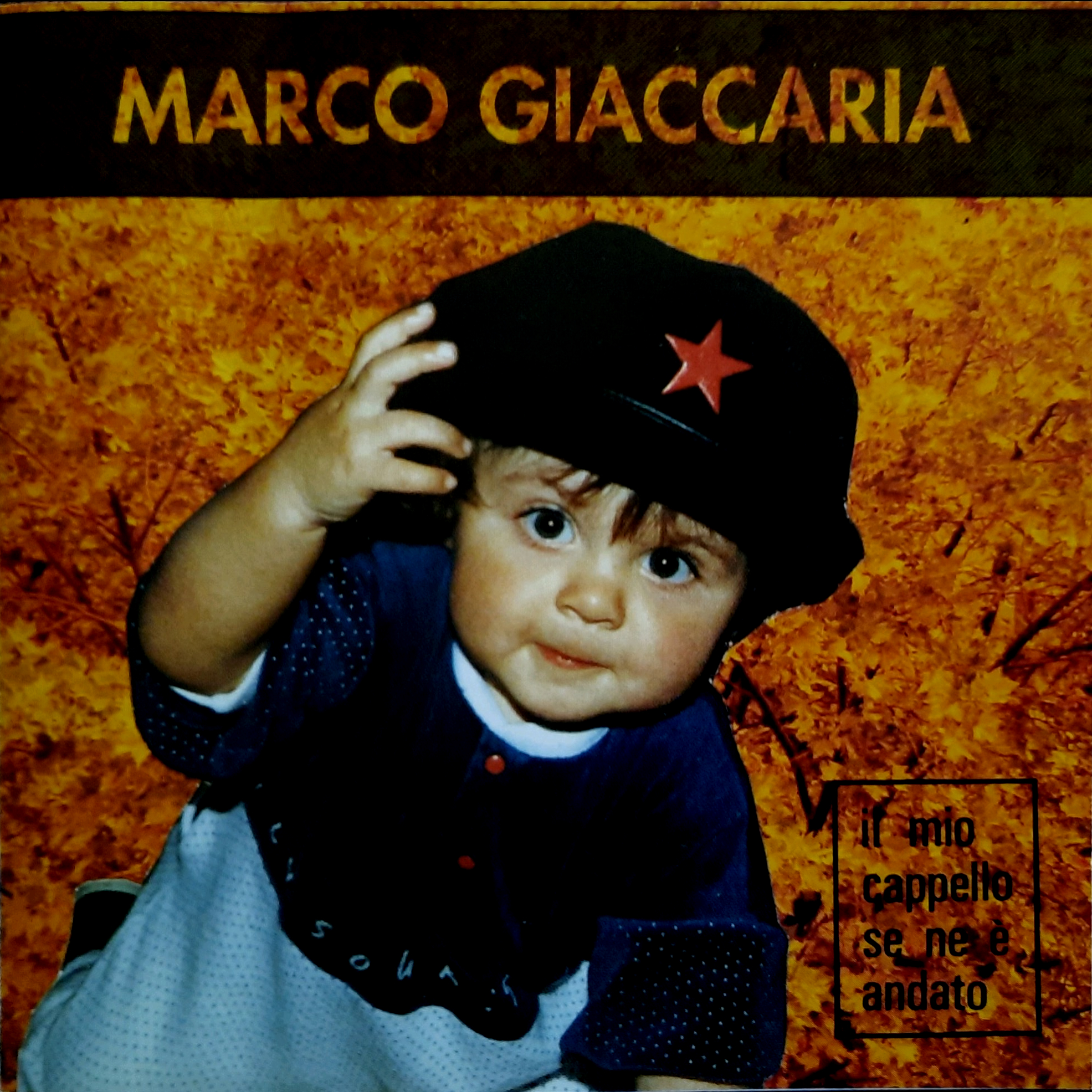 Il mio cappello se ne è andato - cover