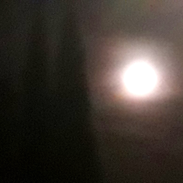 Another Band of Collective Despair - cover