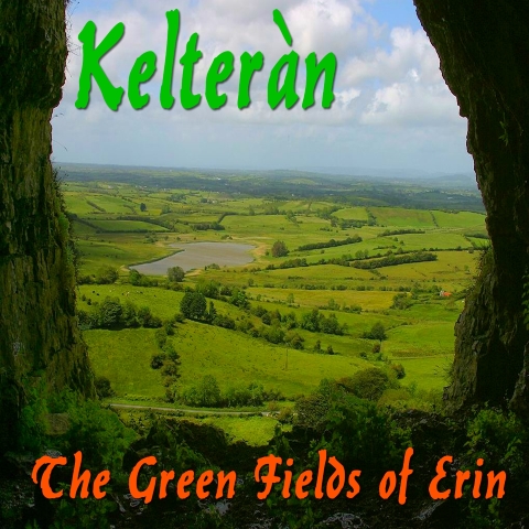 The Green Fields of Erin - cover